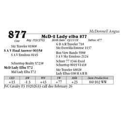 Lot  877 - McD-2 Lady elba 877
