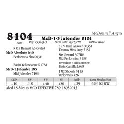 Lot  8104 - McD-1-3 Jufender 8104