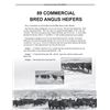 Image 1 : Lot  9001 - Group 2 - 11 Bred Heifers