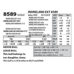INDRELAND EXT 8589