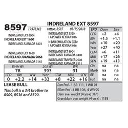 INDRELAND EXT 8597