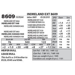INDRELAND EXT 8609