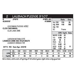 LAUBACH PLEDGE 9107