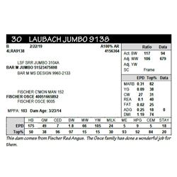 LAUBACH JUMBO 9138