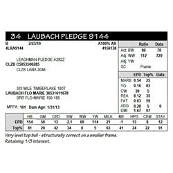 LAUBACH PLEDGE 9144