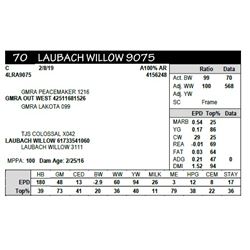 LAUBACH WILLOW 9075