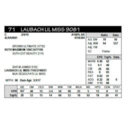 LAUBACH LIL MISS 9081