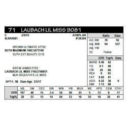 LAUBACH LIL MISS 9081