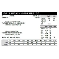 LAUBACH MISS PAN 9155