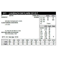 LAUBACH SKYLARK 9157