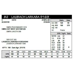 LAUBACH LARKABA 9169