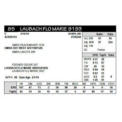 LAUBACH FLO MARIE 9193