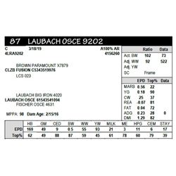 LAUBACH OSCE 9202