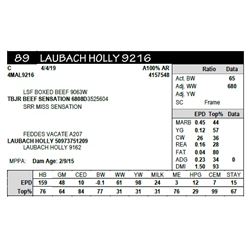 LAUBACH HOLLY 9216