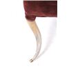 Image 13 : Victorian Era Steer Horn & Velvet Chair