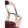 Image 16 : Victorian Era Steer Horn & Velvet Chair