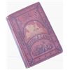 Image 2 : Buffalo Land by W.E. Webb First Edition 1872