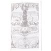 Image 4 : Buffalo Land by W.E. Webb First Edition 1872