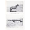 Image 8 : Fifty Years on the Frontier by Cook First Edition