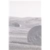 Image 8 : 1999 Wouter Deruytter Cowboy Code Gelatin Silver