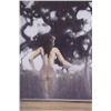 Image 8 : Mark Larson Primal Hand Painted Tinted Prints