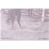 Image 8 : "Bucking and Bawling" by L. A. Huffman