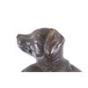 Image 3 : Bronze Dog in Suit Coat Hook Wall Decor