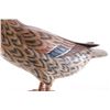 Image 11 : Signed Hand Painted Mallard Hen Mounted Decoy