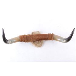 Montana Steer Horn Wall Mount