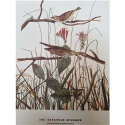 c1946 Audubon Print #109 Savannah Sparrow