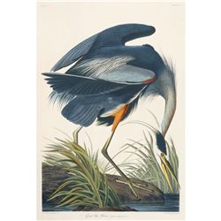 c1946 Audubon Print, #211 Great Blue Heron
