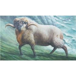 Barry L. Driscoll (British, 1926 - ) Boreray Ram