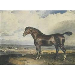 James Ward (British, 1769-1859) Horse portrait c.
