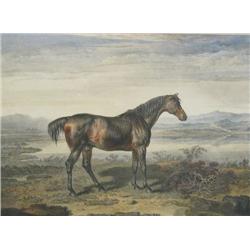 James Ward (British, 1769-1859) Horse P