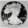 Image 1 : 2007-W AMERICAN SILVER EAGLE