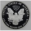 Image 2 : 2007-W AMERICAN SILVER EAGLE