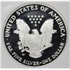 Image 2 : 2006-W AMERICAN SILVER EAGLE
