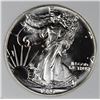 Image 1 : 1989 AMERICAN SILVER EAGLE