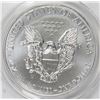 Image 2 : 2013-W AMERICAN SILVER EAGLE