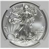 Image 1 : 2019 AMERICAN SILVER EAGLE