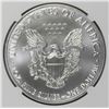 Image 2 : 2019 AMERICAN SILVER EAGLE
