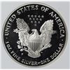 Image 2 : 2000-P AMERICAN SILVER EAGLE