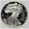 Image 1 : 1993 AMERICAN SILVER EAGLE