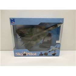 Sky Pilot F-14 Tomcat