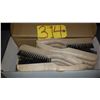 Image 1 : Shoe Brush 1 row