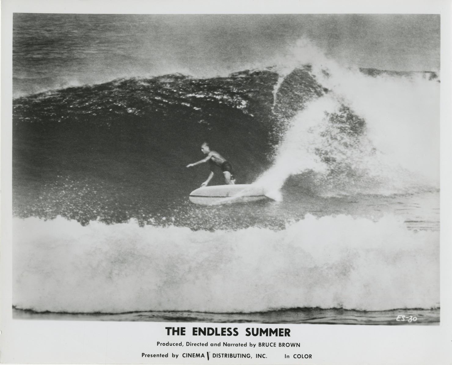 The Endless Summer (7) surfingthemed photographs.