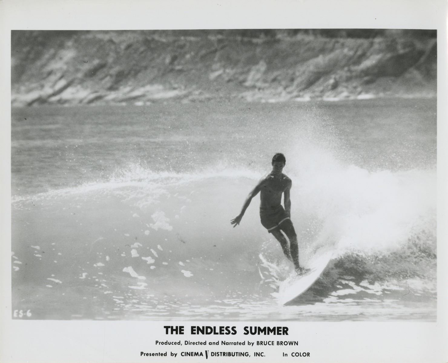 The Endless Summer (7) surfingthemed photographs.