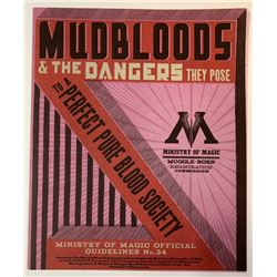 Harry Potter and the Deathly Hallows: Part 1 (2010) - Mudblood Booklet