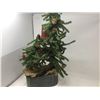 Image 1 : 24inch Tabletop Tree