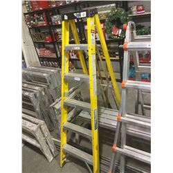 Industrial Lite 6' Ladder